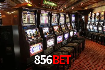 856bet